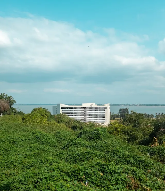 marketing dla deweloperow