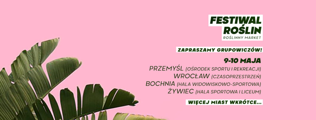 tlo grupy 29.04